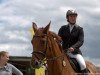 horse Lilli-Fee 5 (Oldenburg show jumper, 2003, from Landgold)