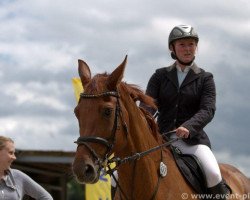 horse Lilli-Fee 5 (Oldenburg show jumper, 2003, from Landgold)