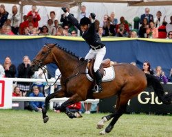 jumper Belle Rock (Irish Sport Horse, 2002, from Limmerick)