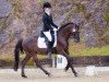 dressage horse Henry (German Riding Pony, 1993, from Henry)