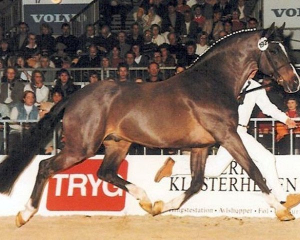 stallion Leandro (Holsteiner, 1985, from Landgraf I)