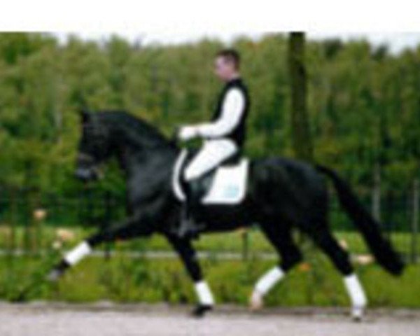 stallion Lord Liberty G (Oldenburg, 1991, from Lord Liberty)