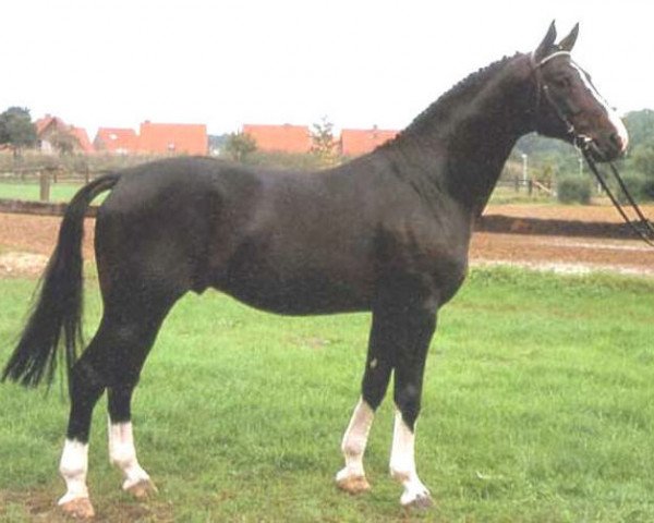 horse Power (Westphalian, 1985, from Pilot)
