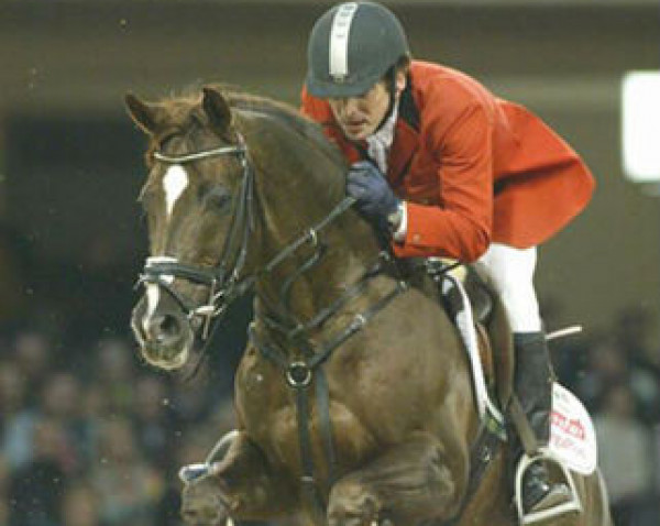 stallion Waitaki 31 (Ukrainisches riding horse, 1988, from Orfej)