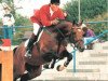stallion Cambridge (Holsteiner, 1988, from Caletto I)