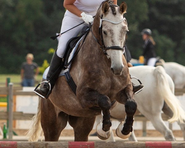 Franziska Bogner