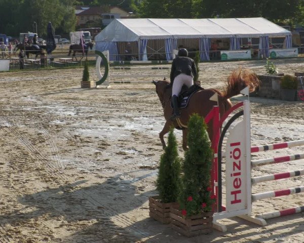 Reitturnier Heiligenwald 2022