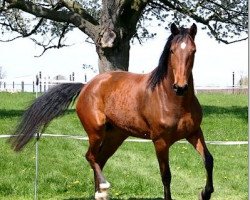 broodmare Louitaxtma (Rhinelander, 2006, from Louis le Bon)