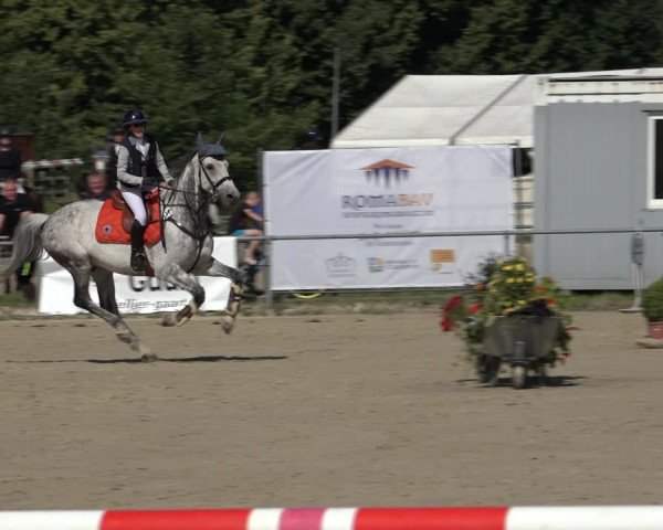 Reitturnier Weiswampach 2022