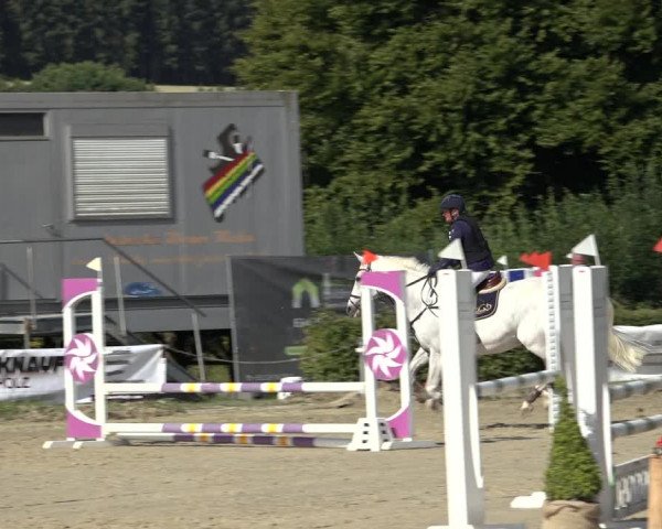 Reitturnier Weiswampach 2022