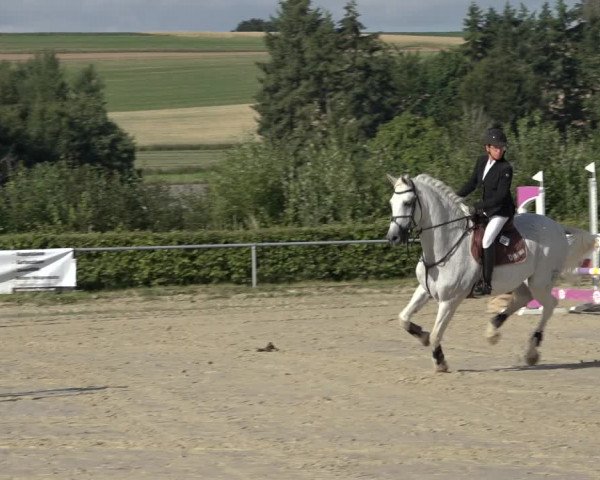 Reitturnier Weiswampach 2022