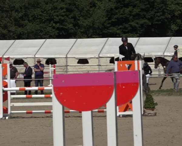 Reitturnier Weiswampach 2022