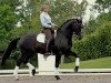 stallion De Luxe (Oldenburg, 1997, from De Niro)