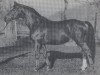 stallion Goldglanz (Westphalian, 1977, from Goldlack I)