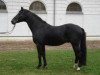 stallion Methusalem (Mecklenburg, 1990, from Melder 3465)