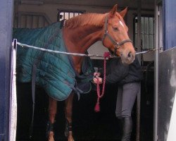 broodmare Onaxtma C (KWPN (Royal Dutch Sporthorse), 1996, from Gladstone)