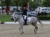 jumper Ginas Blue Eye (German Riding Pony, 2005)