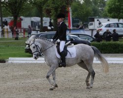 jumper Ginas Blue Eye (German Riding Pony, 2005)