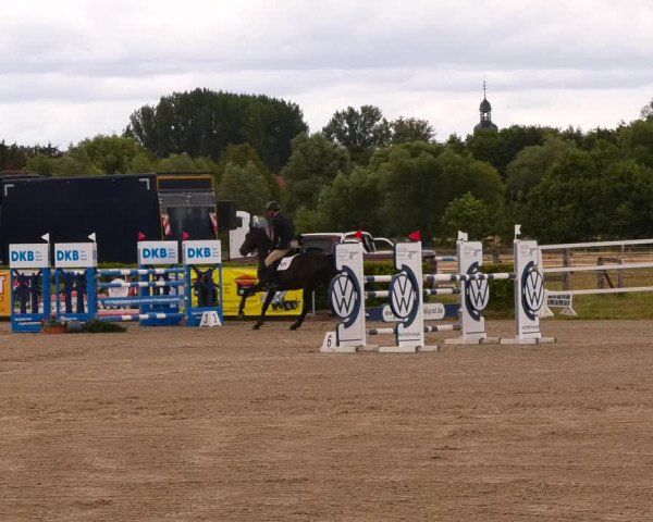 Reitturnier Neustadt/Dosse 2022