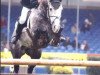 Deckhengst Bahrain Cruise (Irish Sport Horse, 1995, von Cruising)