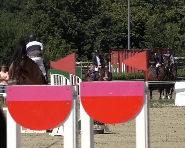 Reitturnier Weiswampach 2022