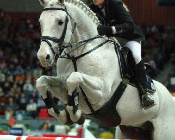 stallion Lanthanid (Oldenburg, 1990, from Landfrieden)