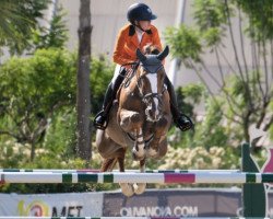 jumper Evita van Spieringen (Belgium Sporthorse, 2010, from Eros Platiere)