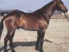 stallion Laurion (Hanoverian, 1992, from Landadel)