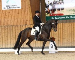 dressage horse Quadriga's Jazzy (Oldenburg, 2004, from Jazzman)