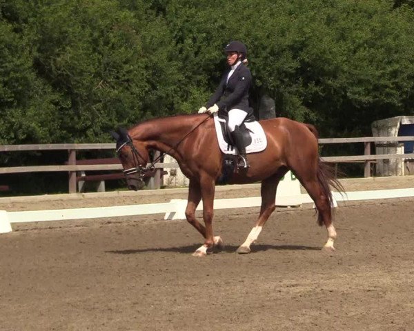 Reitturnier Kleinsolt 2022