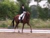 dressage horse Rohdonn (Oldenburg, 2003, from Rohdiamant)