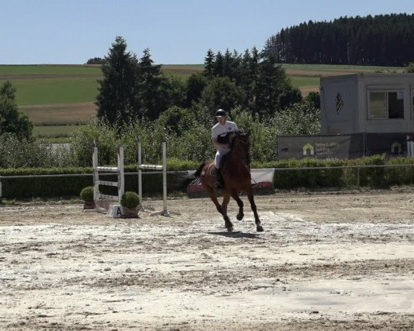 Reitturnier Weiswampach 2022