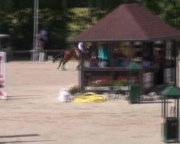dressage horse Mano (Westphalian, 1999)
