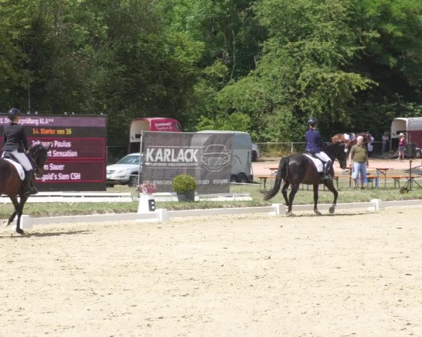 Reitturnier Heiligenwald 2022