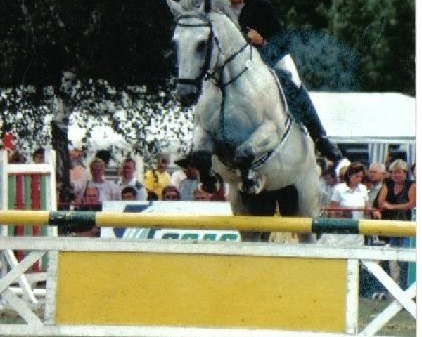 stallion Lurex (Zweibrücken, 1991, from Lucky Luke)