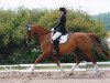 dressage horse Kolbi (Saxony-Anhaltiner, 1999, from Kolibri 2705)