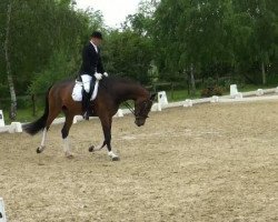 dressage horse Cala Luna 2 (Rhinelander, 2008, from For Compliment)