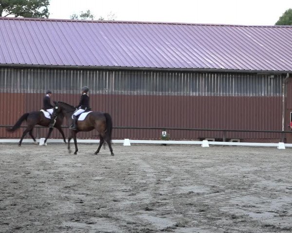 Reitturnier Marienheide-Kempershöhe 2022