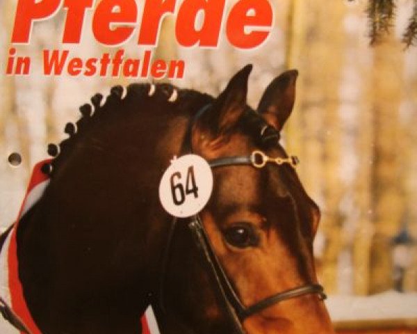 stallion Notre Beau (Westphalian, 1993, from Nantano)