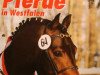 stallion Notre Beau (Westphalian, 1993, from Nantano)