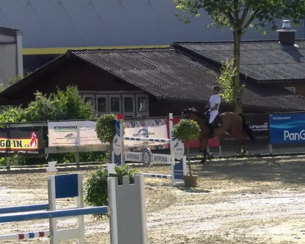 Reitturnier Dagmersellen 2022