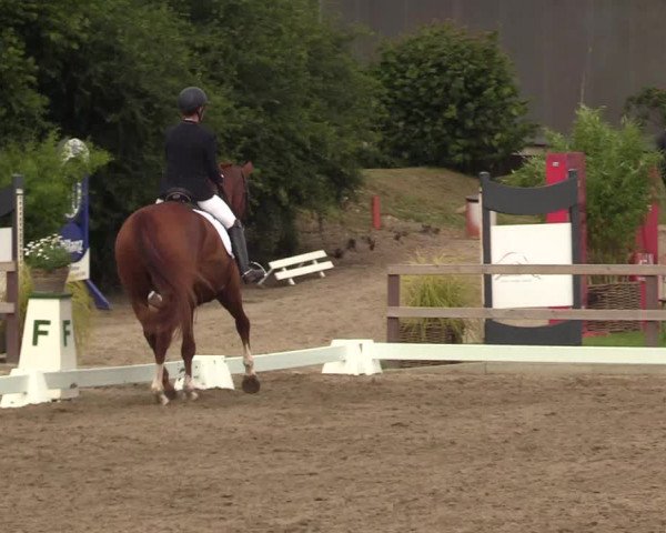 Reitturnier Kleinsolt 2022