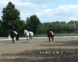 broodmare Monique (German Riding Pony, 1996, from Kaiserjaeger xx)