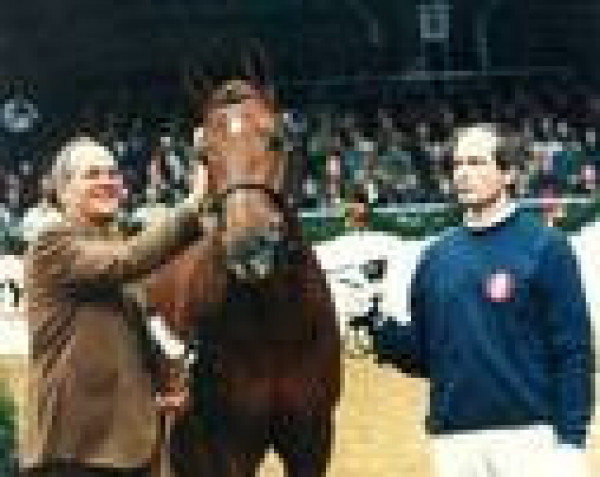 stallion Rubino Rosso (Oldenburg, 1994, from Rubinstein I)