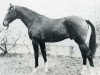 Pferd Liguster (Holsteiner, 1970, von Landsturm)