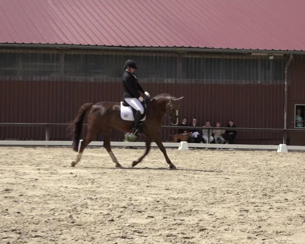 Reitturnier Marienheide-Kempershöhe 2022