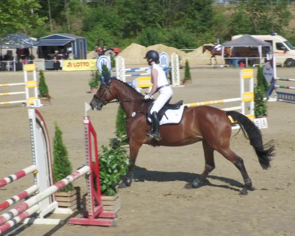 Reitturnier Heiligenwald 2022