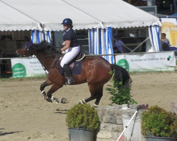 Reitturnier Heiligenwald 2022