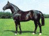 stallion Fürst Ferdinand (Hanoverian, 1967, from Ferdinand)