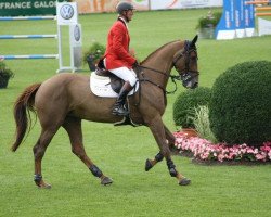 broodmare Valentina van het Heike (Belgian Warmblood, 1998, from Nabab de Rêve)